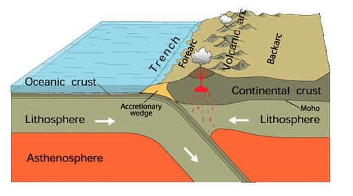 Image1